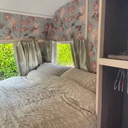 Molly The Vintage Caravan.