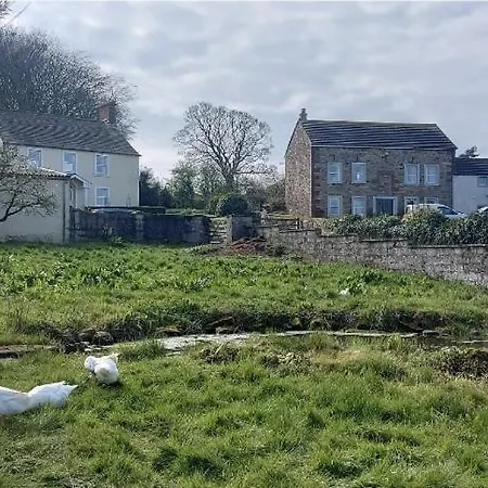 Molly The Vintage Caravan.